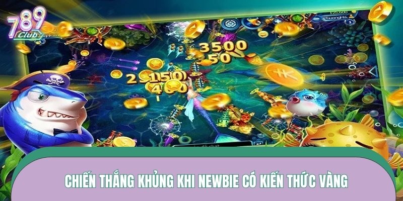 Chiến thắng khủng khi newbie có kiến thức vàng