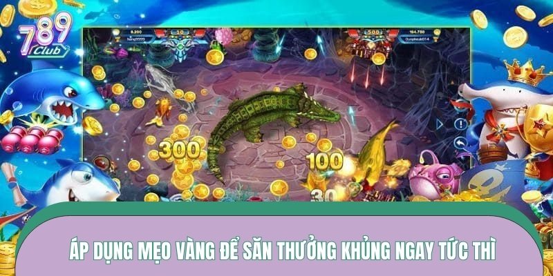 Áp dụng mẹo vàng để săn thưởng khủng ngay tức thì