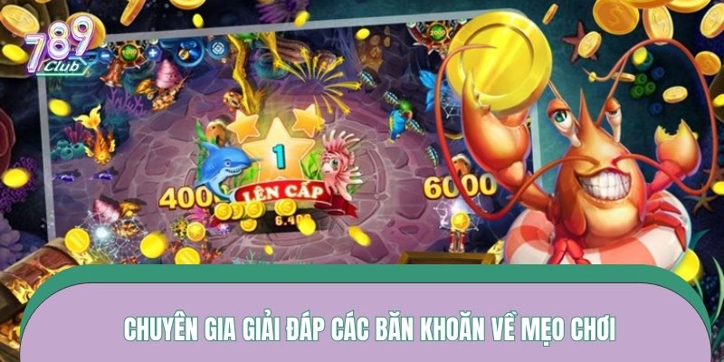 Chuyên gia giải đáp các băn khoăn về mẹo chơi